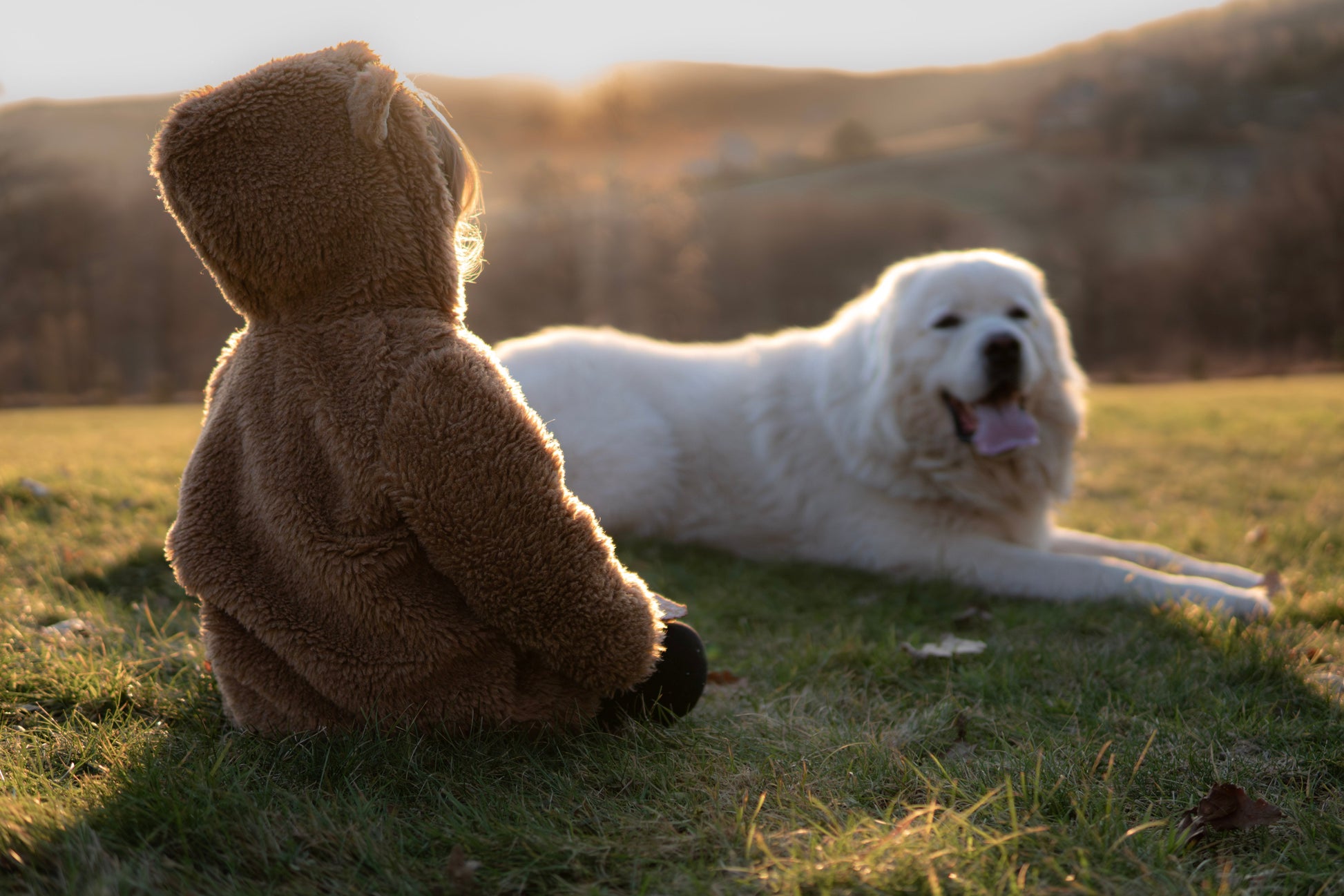 Baby/Kid Virgin Wool Jacket - Brown-3
