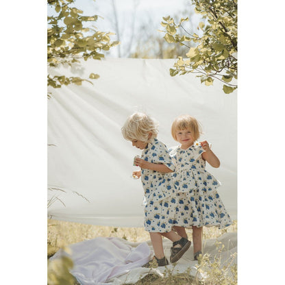 Organic Blueberry Frill Dress-1