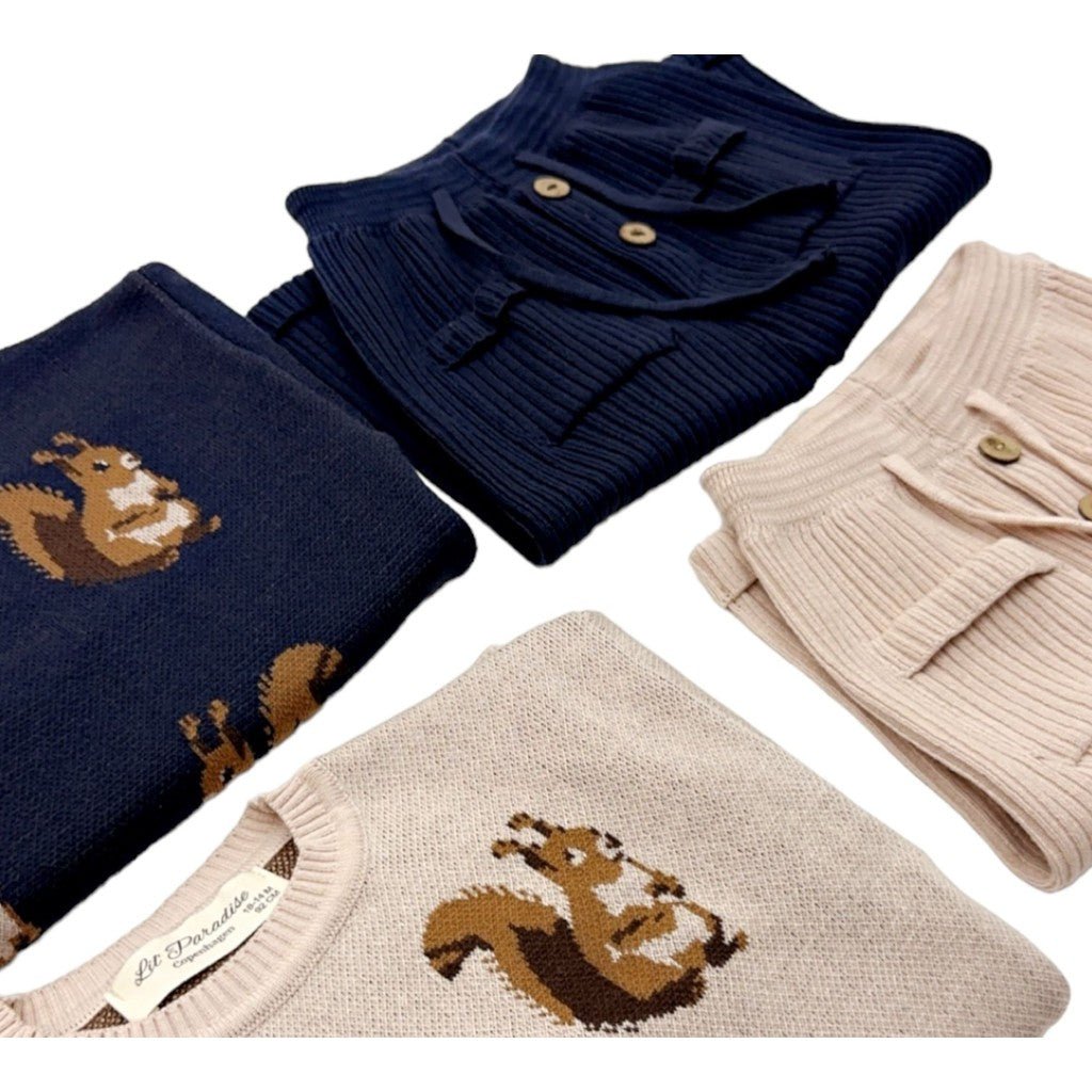 Squirrel knit sweater-2